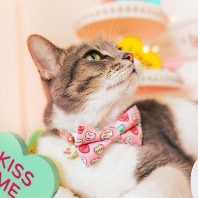 Show full view: Made By Cleo Conversation Hearts Cat Bow Tie, Pink slide 3 of 5