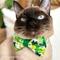 Show in main carousel: Made By Cleo Shamrock Spirit Cat Collar, 8 to 13-in neck, 1/2-in wide slide 7 of 7