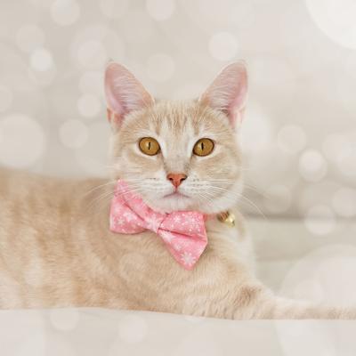 Show full view: Made By Cleo Snowflakes Cat Collar, Sugar Pink, 8 to 13-in neck, 1/2-in wide slide 3 of 4