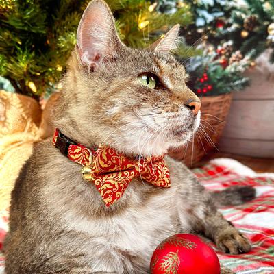 Show full view: Made By Cleo Royal Ruby Cat Bow Tie slide 5 of 6