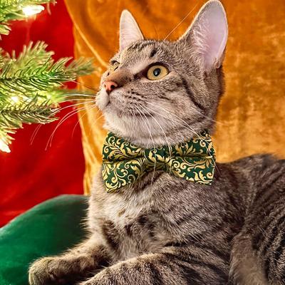 Show full view: Made By Cleo Royal Emerald Cat Collar, 8 to 13-in neck, 1/2-in wide slide 3 of 5