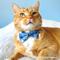 Show in main carousel: Made By Cleo Blue Spruce Cat Collar, 8 to 13-in neck, 1/2-in wide slide 5 of 7