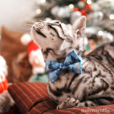 Show full view: Made By Cleo Blue Spruce Cat Collar, 8 to 13-in neck, 1/2-in wide slide 6 of 7