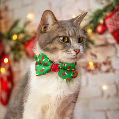 Show full view: Made By Cleo Christmas Stockings Cat Bow Tie slide 4 of 4