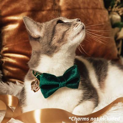 Show full view: Made By Cleo Velvet Cat Collar, Hunter Green, 8 to 13-in neck, 1/2-in wide slide 4 of 5