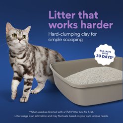 Chewy Made Multi-Cat Lavender Scented Clumping Clay Cat Litter (FORMERLY FRISCO), 40-lb bag slide 2 of 8