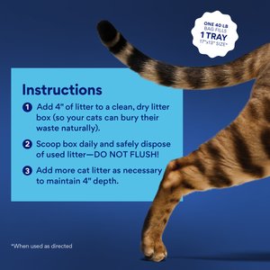 Chewy Made Multi-Cat Fresh Scented Clumping Clay Cat Litter (FORMERLY FRISCO), 40-lb bag