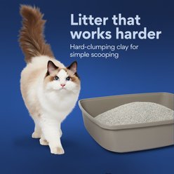 Chewy Made Odor Defense Unscented Clumping Clay Cat Litter (FORMERLY FRISCO), 35-lb bag slide 2 of 8
