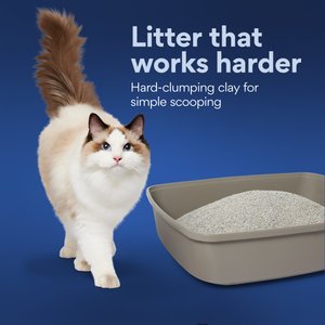 Chewy Made Odor Defense Unscented Clumping Clay Cat Litter (FORMERLY FRISCO), 35-lb bag
