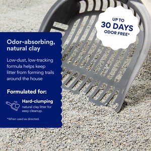 Chewy Made Odor Defense Unscented Clumping Clay Cat Litter (FORMERLY FRISCO), 35-lb bag