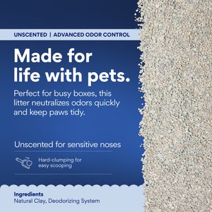 Chewy Made Odor Defense Unscented Clumping Clay Cat Litter (FORMERLY FRISCO), 35-lb bag