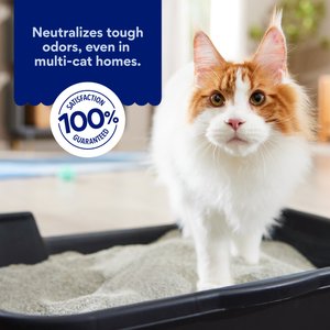 Chewy Made Odor Defense Unscented Clumping Clay Cat Litter (FORMERLY FRISCO), 35-lb bag