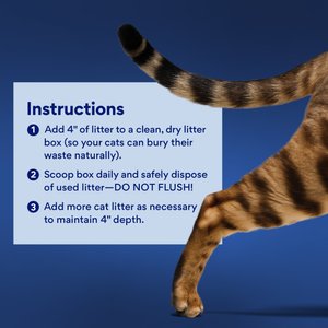 Chewy Made Odor Defense Unscented Clumping Clay Cat Litter (FORMERLY FRISCO), 35-lb bag