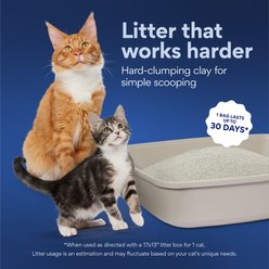 Chewy Made Multi-Cat Unscented Clumping Clay Cat Litter (FORMERLY FRISCO), 40-lb bag slide 2 of 8