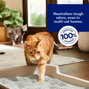Chewy Made Multi-Cat Unscented Clumping Clay Cat Litter (FORMERLY FRISCO), 40-lb bag