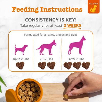 Show full view: Zesty Paws Hip & Joint Bites Bacon Flavored Soft Chews Glucosamine Mobility Supplement for Dogs, 90 count slide 5 of 13