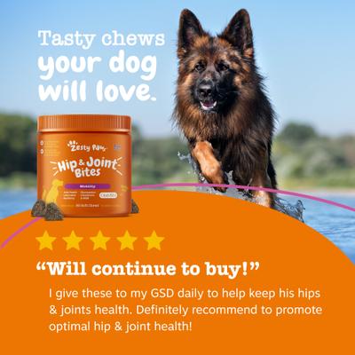 Show full view: Zesty Paws Hip & Joint Bites Bacon Flavored Soft Chews Glucosamine Mobility Supplement for Dogs, 90 count slide 7 of 13