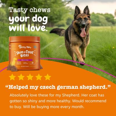 Show full view: Zesty Paws Skin & Coat Bites Bacon Flavored Soft Chews Omega 3 Fish Oil Supplement for Dogs, 180 count slide 7 of 12