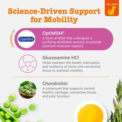 Show full view: Zesty Paws Hip & Joint Bites Bacon Flavored Soft Chews Glucosamine Mobility Supplement for Dogs, 90 count slide 4 of 13