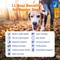 Show in main carousel: Zesty Paws Senior Advanced 11-in-1 Bites Beef Flavored Soft Chews Multivitamin Supplement for Senior Dogs, 180 count slide 3 of 13
