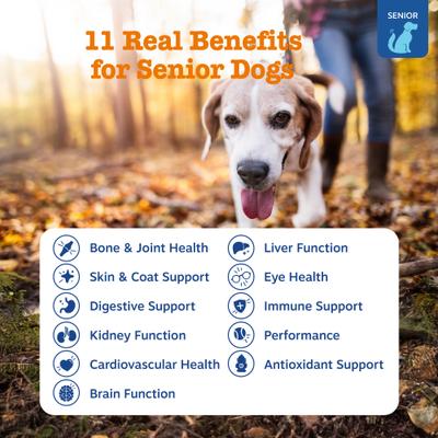 Show full view: Zesty Paws Senior Advanced 11-in-1 Bites Beef Flavored Soft Chews Multivitamin Supplement for Senior Dogs, 180 count slide 3 of 13