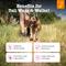 Show in main carousel: Zesty Paws Hip & Joint Mobility Bites Duck Flavored Soft Chews Glucosamine Supplement for Dogs, 90 count slide 3 of 10