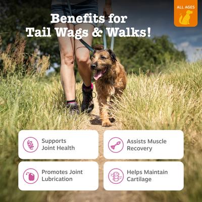 Show full view: Zesty Paws Hip & Joint Mobility Bites Duck Flavored Soft Chews Glucosamine Supplement for Dogs, 90 count slide 3 of 10