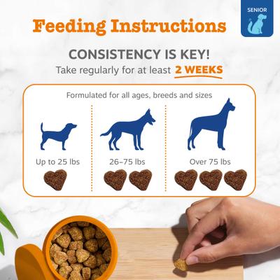 Show full view: Zesty Paws Senior Advanced 11-in-1 Bites Beef Flavored Soft Chews Multivitamin Supplement for Senior Dogs, 180 count slide 5 of 13