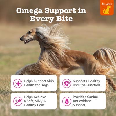 Show full view: Zesty Paws Skin & Coat Bites Bacon Flavored Soft Chews Omega 3 Fish Oil Supplement for Dogs, 180 count slide 3 of 12