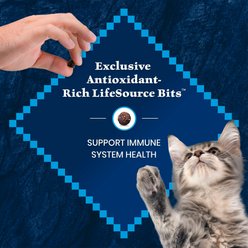 Blue Buffalo Wilderness Kitten High-Protein & Grain-Free Salmon Recipe Dry Cat Food, 5-lb bag slide 2 of 9