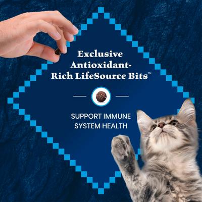 Show full view: Blue Buffalo Wilderness Kitten High-Protein & Grain-Free Salmon Recipe Dry Cat Food, 5-lb bag slide 8 of 10