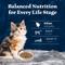 Show in main carousel: Blue Buffalo Wilderness Kitten High-Protein & Grain-Free Salmon Recipe Dry Cat Food, 5-lb bag slide 9 of 10