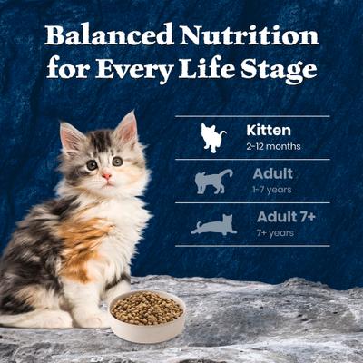 Show full view: Blue Buffalo Wilderness Kitten High-Protein & Grain-Free Salmon Recipe Dry Cat Food, 5-lb bag slide 9 of 10