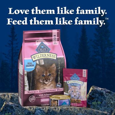 Show full view: Blue Buffalo Wilderness Kitten High-Protein & Grain-Free Salmon Recipe Dry Cat Food, 5-lb bag slide 10 of 10