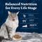 Show in main carousel: Blue Buffalo Wilderness Senior High-Protein & Grain-Free Salmon Recipe Dry Cat Food, 5-lb bag slide 9 of 10