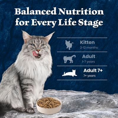 Show full view: Blue Buffalo Wilderness Senior High-Protein & Grain-Free Salmon Recipe Dry Cat Food, 5-lb bag slide 9 of 10