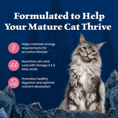 Show full view: Blue Buffalo Wilderness Senior High-Protein & Grain-Free Salmon Recipe Dry Cat Food, 5-lb bag slide 5 of 10