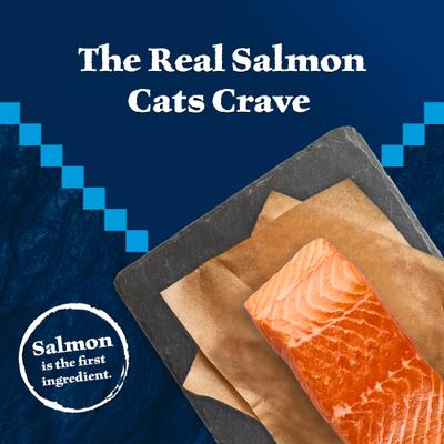 Show full view: Blue Buffalo Wilderness Senior High-Protein & Grain-Free Salmon Recipe Dry Cat Food, 5-lb bag slide 4 of 10
