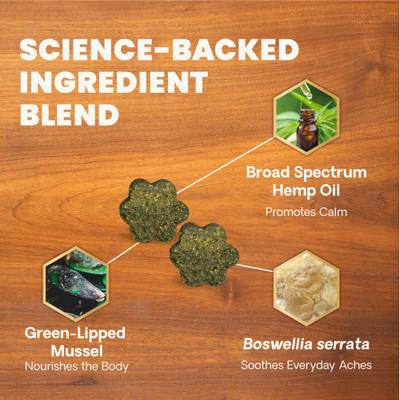 Show full view: VetriScience Broad Spectrum Hemp Healthy Bacon Flavored Chews Hip & Joint Supplement for Dogs, 60 count slide 4 of 10