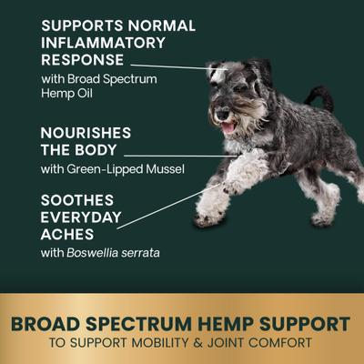 Show full view: VetriScience Broad Spectrum Hemp Healthy Bacon Flavored Chews Hip & Joint Supplement for Dogs, 60 count slide 5 of 10