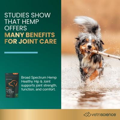 Show full view: VetriScience Broad Spectrum Hemp Healthy Bacon Flavored Chews Hip & Joint Supplement for Dogs, 60 count slide 3 of 10