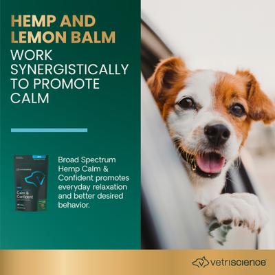 Show full view: VetriScience Broad Spectrum Hemp Peanut Butter Flavored Chews Calm & Confident Supplement for Dogs, 60 count slide 3 of 10