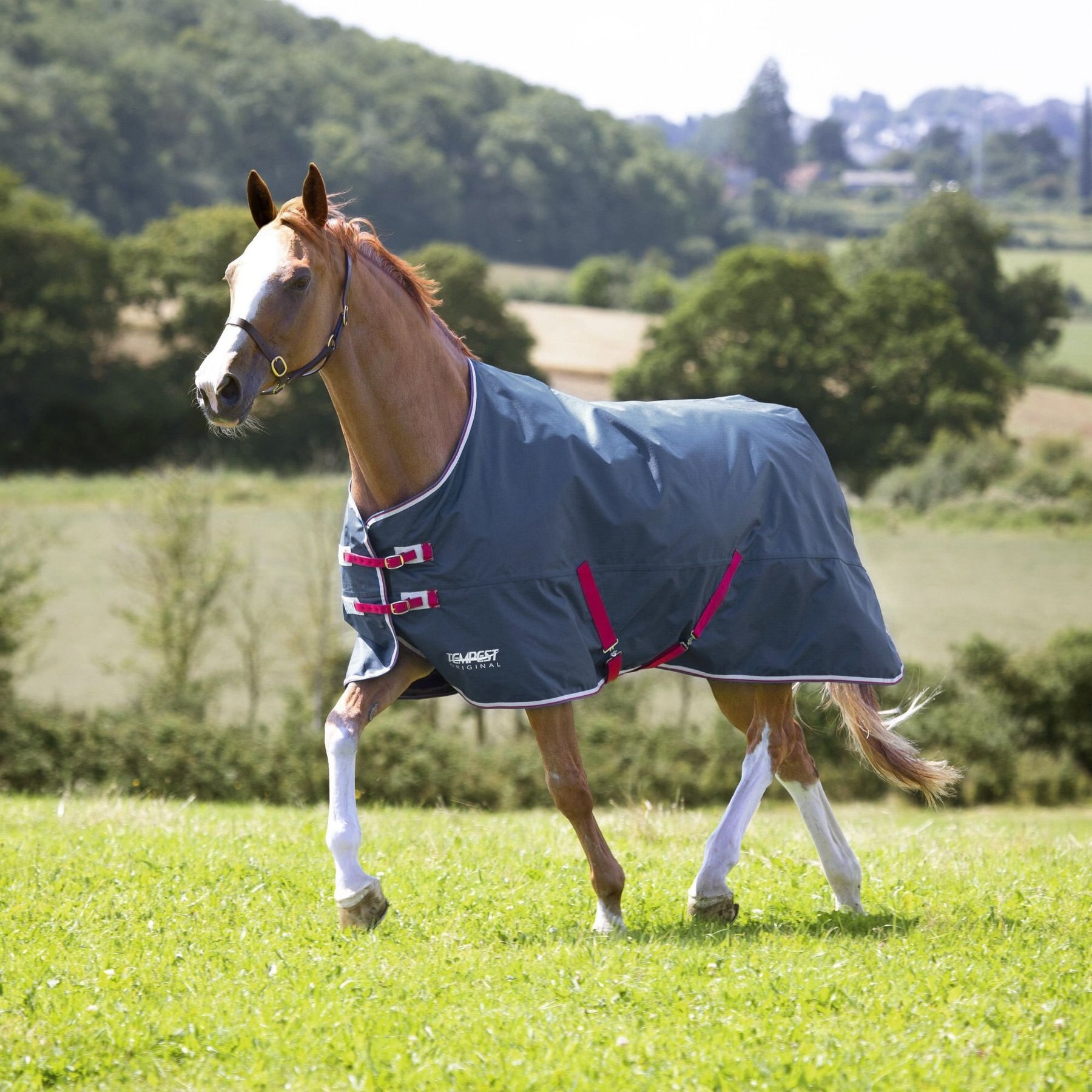 Shires Equestrian Products Tempest Lite Original Horse Turnout Sheet, Teal, 81-in