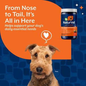 NaturVet All-in-One Soft Chews Multivitamin for Dogs, 120 count