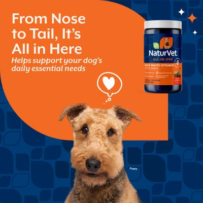 Show full view: NaturVet All-in-One Soft Chews Multivitamin for Dogs, 120 count slide 4 of 11