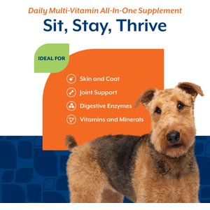 NaturVet All-in-One Soft Chews Multivitamin for Dogs, 120 count