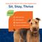 Show in main carousel: NaturVet All-in-One Soft Chews Multivitamin for Dogs, 120 count slide 5 of 11