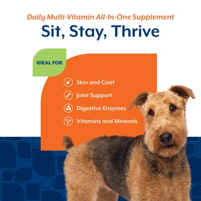 Show full view: NaturVet All-in-One Soft Chews Multivitamin for Dogs, 120 count slide 5 of 11