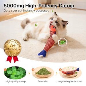Potaroma Crinkle Fish Cat Toys with Catnip, Multi-color, 9.4-in, 3 count