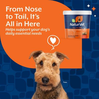 Show full view: NaturVet No Scoot Dog Soft Chews, 60 count + NaturVet All-In-One Support Soft Chews Dog Supplement, 60 count slide 3 of 9